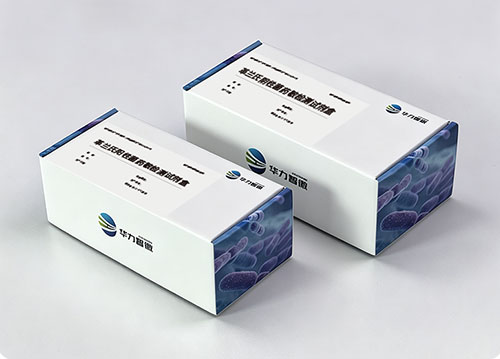 药敏检测试剂盒